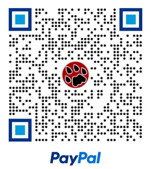 PayPal QR code